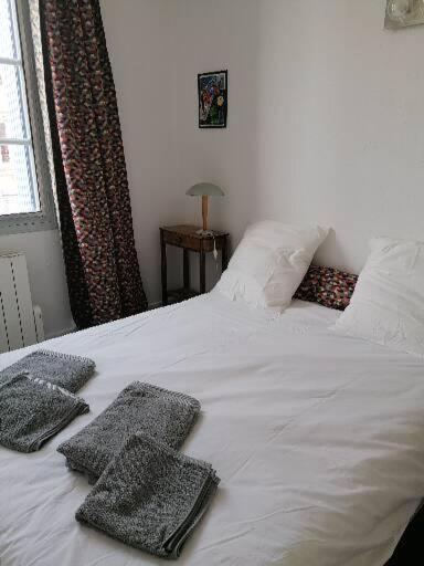 Appart'D'Oie Apartment Toulouse Ngoại thất bức ảnh